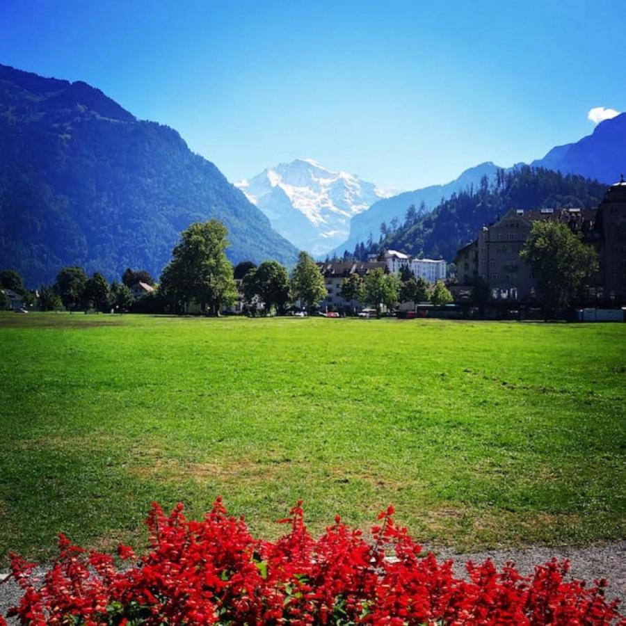 Swisshut Stunning Views Alps Lake - Chalet Erli Därligen Екстериор снимка